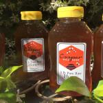 How Custom Honey Jar Labels Can Sweeten Your Brand
