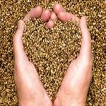USDA Issues First Organic Hemp Flower Certification – Are Your Hemp Labels Ready To Add This Certification If Your Brand Is A Fit?