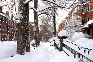 It's Not Too Early to Start Thinking About Custom Holiday Labels 